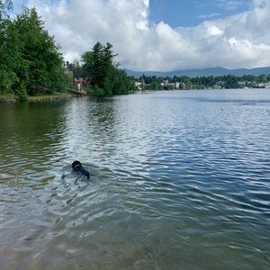 Meet your Posher, Ali